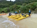 abeltasman (05)